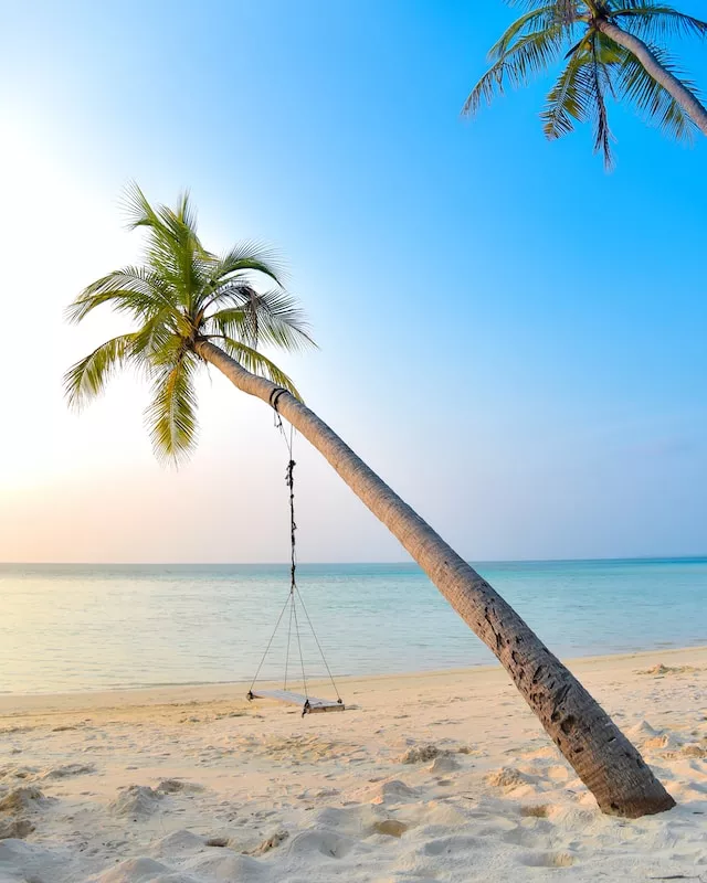 Goa
